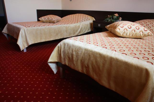 Hotel Wasik Krogulcza Oda fotoğraf